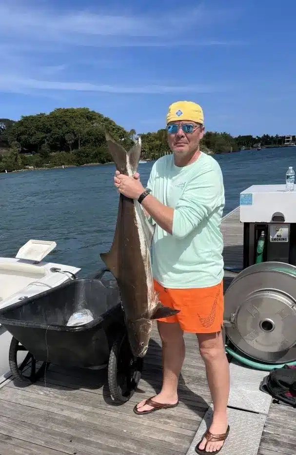 Kingfish & Cobia Fishing Excursions in Palm Beach, Florida
